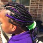 Kid's Braided Ponytail