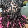 Bukolas Braids