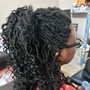 Crochet Braids/Softloc