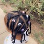 Kid's Braids