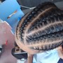 Braided Ponytail/ Updo