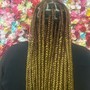 Adult Braided Ponytail or XL/Jumbo Knotless