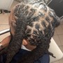 Loc Re-twist & Style (Adult)