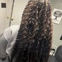 Boho Marley Twist over Locs