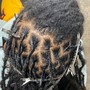 Traditional Loc Re-twist (long)