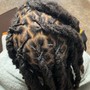 Traditional Loc Re-twist (long)