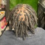 Root touch up