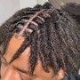 Starter Locs