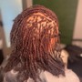 Root Touch Up