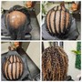 Root Touch Up