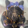 Starter Loc 1/2 Head Comb Twist