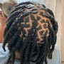 Retwist Only /Mid Back or Longer