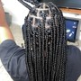 Medium Knotless Box Braids