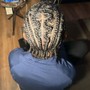 6 Feed-In Braids (Hair Added)