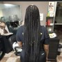 Starter Locs