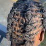 Starter Locs