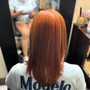 Olaplex Treatment