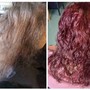 Shampoo Detangle and blowdry