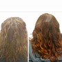 Shampoo Detangle and blowdry