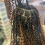 Two Strand Twist