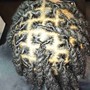 Comb Coil Twists