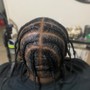 Dreadlocks  (BASIC RETWIST)