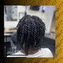 Double-Strand Twists