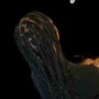 LARGE KNOTLESS BRAIDS