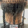 Two-Strand Twist Starter Locs