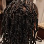 Clip Ins Full Set (w/o hair)