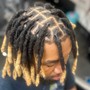 Starter Locs