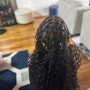 Root Touch Up