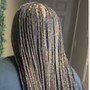 6 Straight Back Stitch Braids