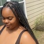 6 Straight Back Stitch Braids