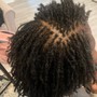 Sisterlocks (TM)Retightening (7-8+ weeks)