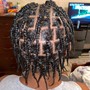 Starter Locs