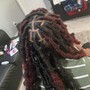 Starter Locs