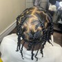 Two Strand Twists