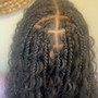 Natural Twists