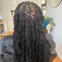 Wash, Detangle, and Blow dry