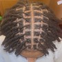 Locs With Beads Style