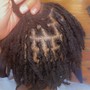 Transfer Client Micro locs/ Sista Locs Maintenance & Retie Consultation