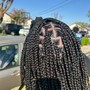 6 Braids with natural hair