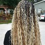 Starter Dreads