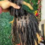 Dread Retwist