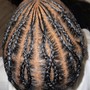 Two Strand Twist