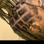 Starter Locs