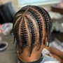 Hybrid Braids