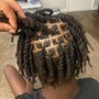 Starter locs