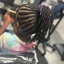 Kid's Braided Ponytail